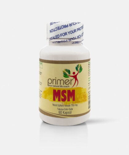 Primer MSM